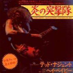 Ted Nugent : Stormtroopin'